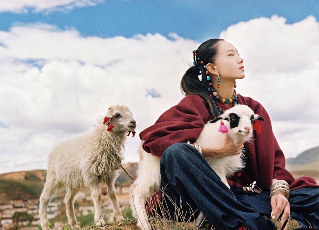 Món nước mà "chim công làng múa" Dương Lệ Bình chăm uống gồm 2 thành phần được đánh giá có lợi cho nhan sắc, phụ nữ 40+ càng nên uống- Ảnh 2.