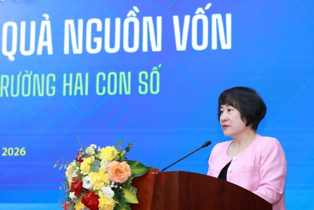 Việt Nam không hẳn thiếu vốn, vậy thiếu gì?- Ảnh 2.