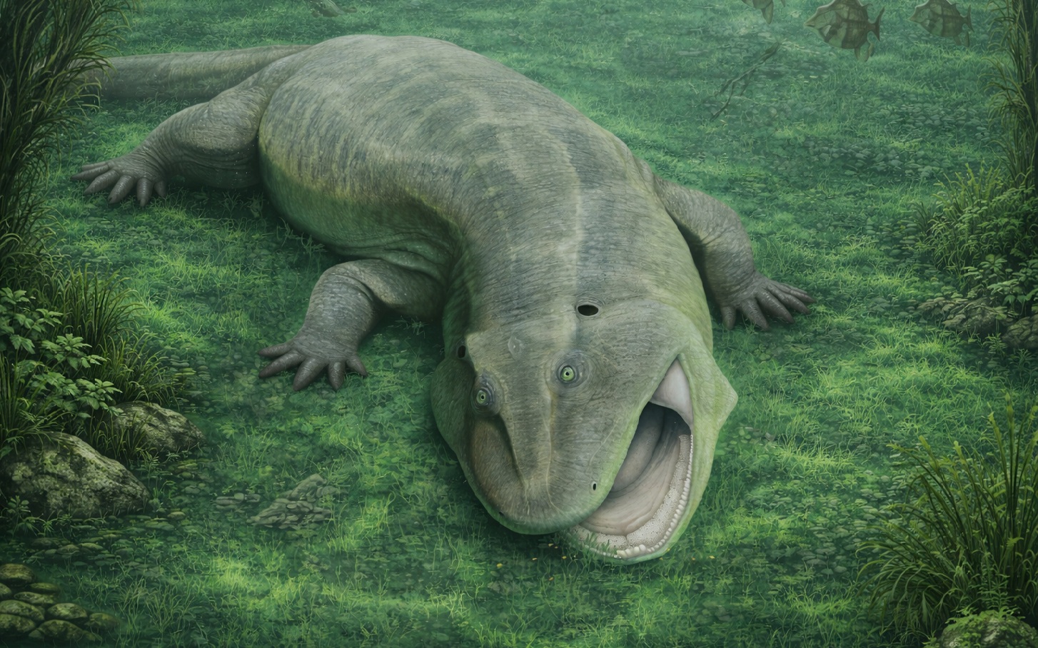 9 con quái vật từ "lục địa đã mất" gây sốc cho giới khoa học - Ảnh 1.