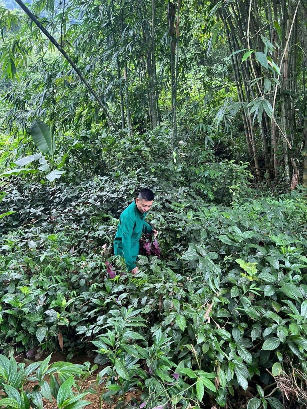 Chân dung “lương y” Hoàng Văn Toàn và đường dây lừa đảo 80.000 người từ bài thuốc xương khớp 3 đời - Ảnh 3.