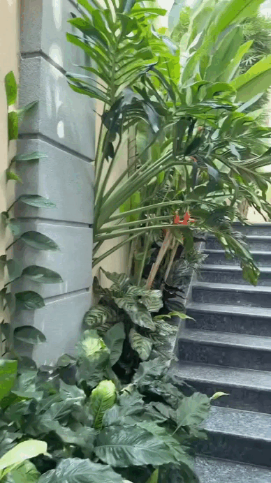 Nữ nghệ sĩ ở biệt thự 300 tỷ: 8/3 không cần mua hoa vì ra vườn hái là có- Ảnh 4.