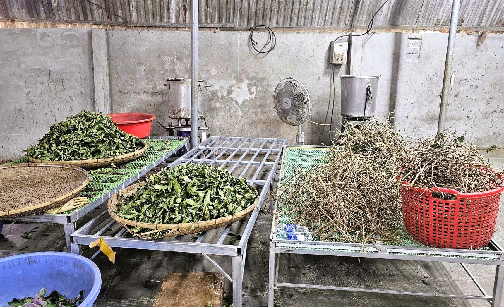 Thần y dỏm Hoàng Văn Toàn lừa đảo hàng ngàn người với bài thuốc gia truyền 3 đời - Ảnh 2.