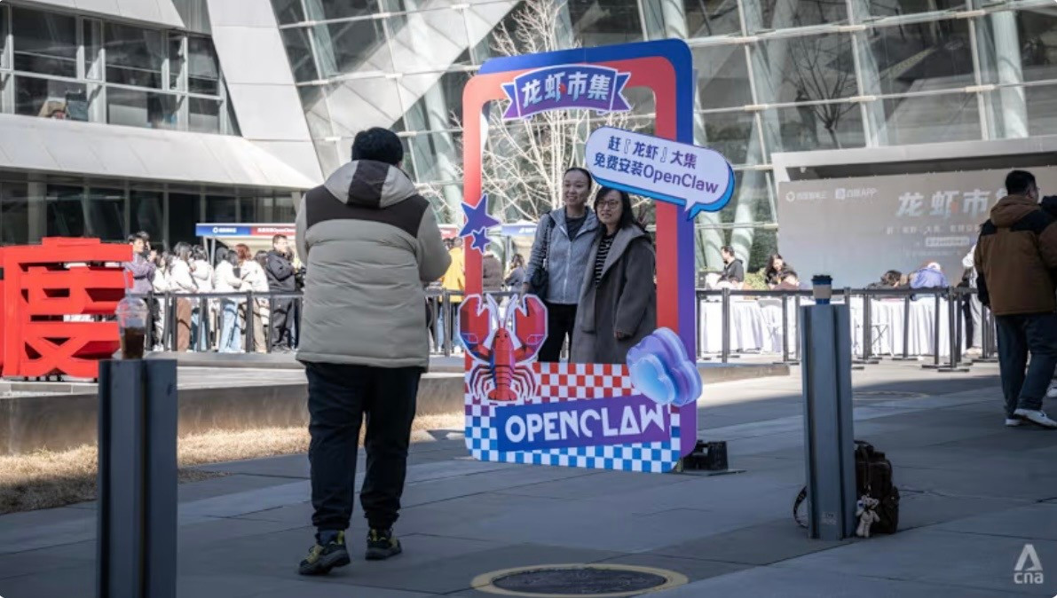 Cơn sốt ‘nuôi tôm hùm’ làm việc thay người- Ảnh 1.