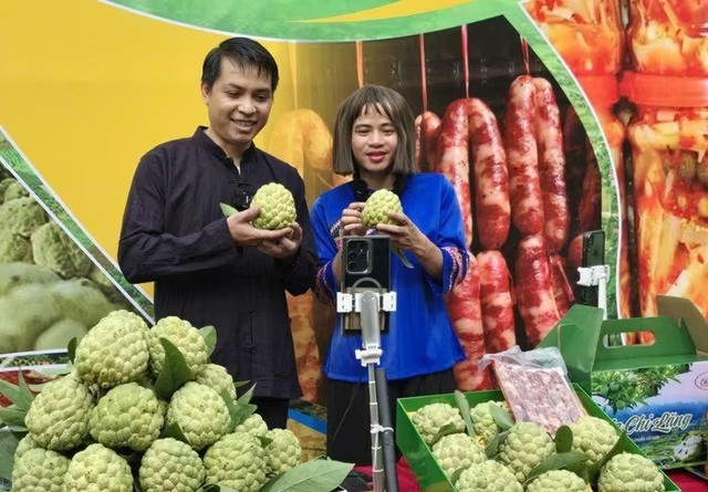 Đặc sản vùng núi phía Bắc được ví như "vua của các loại", Chủ tịch xã từng trực tiếp bán trên livestream- Ảnh 6.