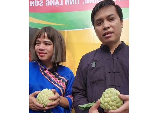 Đặc sản vùng núi phía Bắc được ví như "vua của các loại", Chủ tịch xã từng trực tiếp bán trên livestream- Ảnh 5.