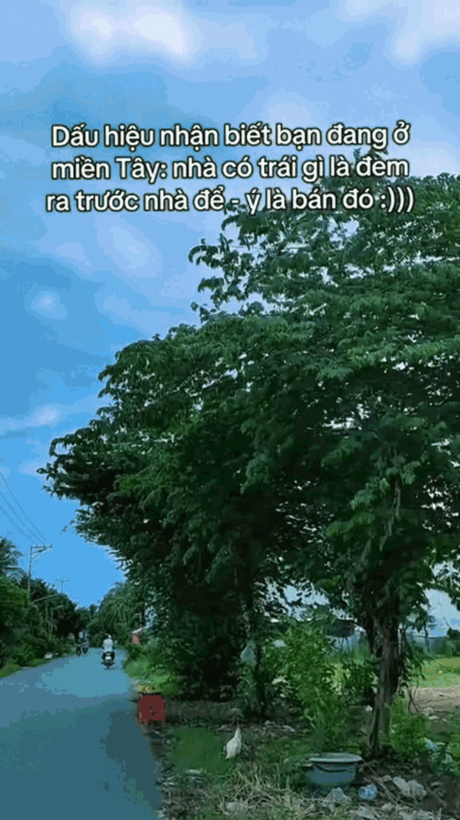 Lật tung mọi nơi chỉ miền Tây có "đặc sản" này- Ảnh 1.