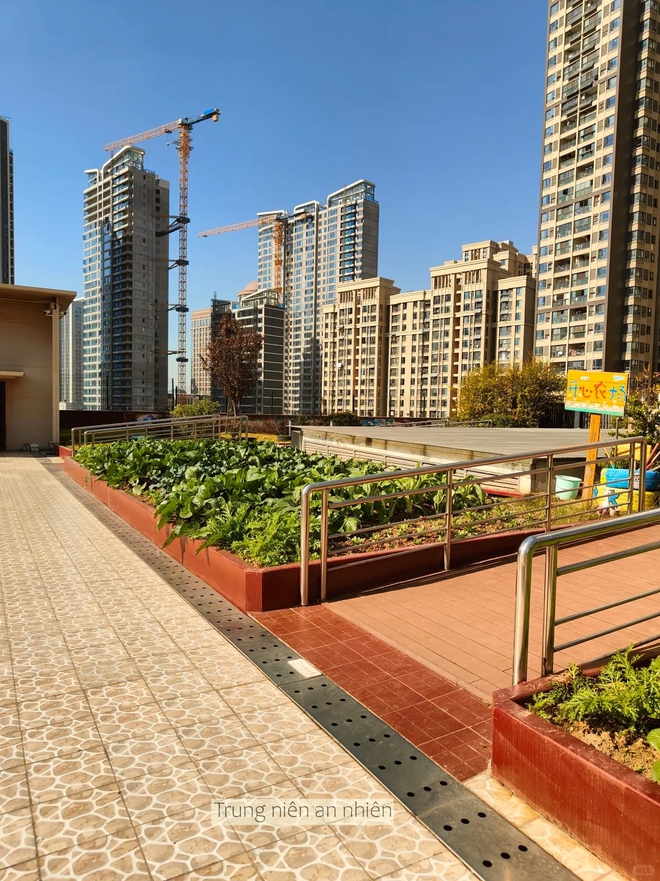 Xuất hiện viện dưỡng lão phòng như chung cư, riêng giá phòng từ 16 triệu đồng/tháng, có sẵn khu khám bệnh- Ảnh 9.