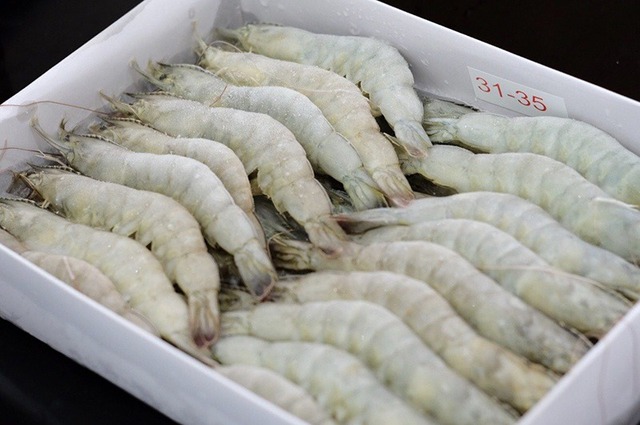 Mua tôm đông lạnh siêu thị: Cao thủ nói dấu hiệu ở đuôi, không phải ai cũng biết- Ảnh 3.