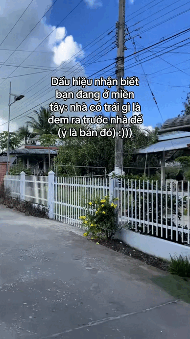 Lật tung mọi nơi chỉ miền Tây có "đặc sản" này- Ảnh 2.