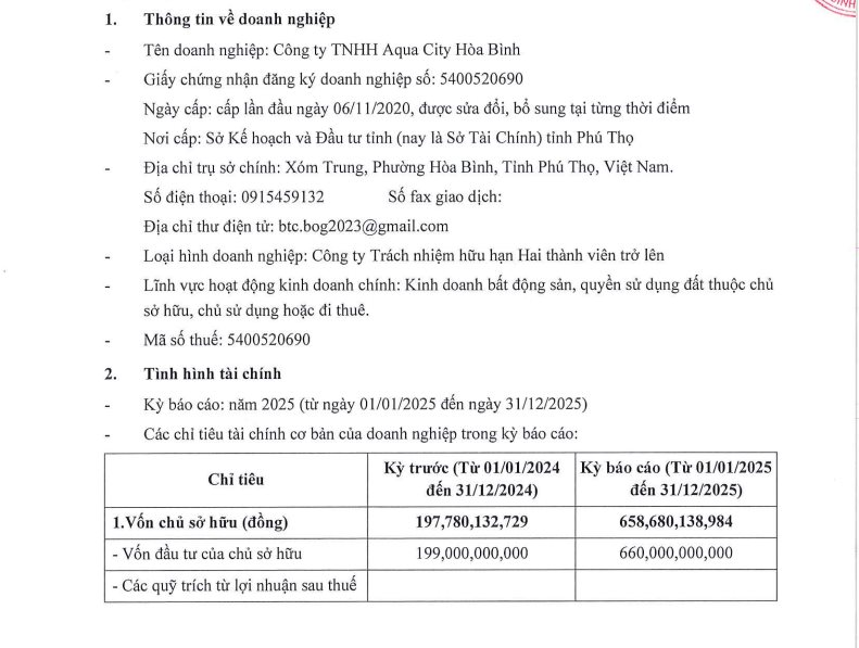 Doanh nghiệp địa ốc trong hệ sinh thái Lã Vọng Group tiếp tục báo lỗ, tài chính tiềm ẩn nhiều rủi ro- Ảnh 1.
