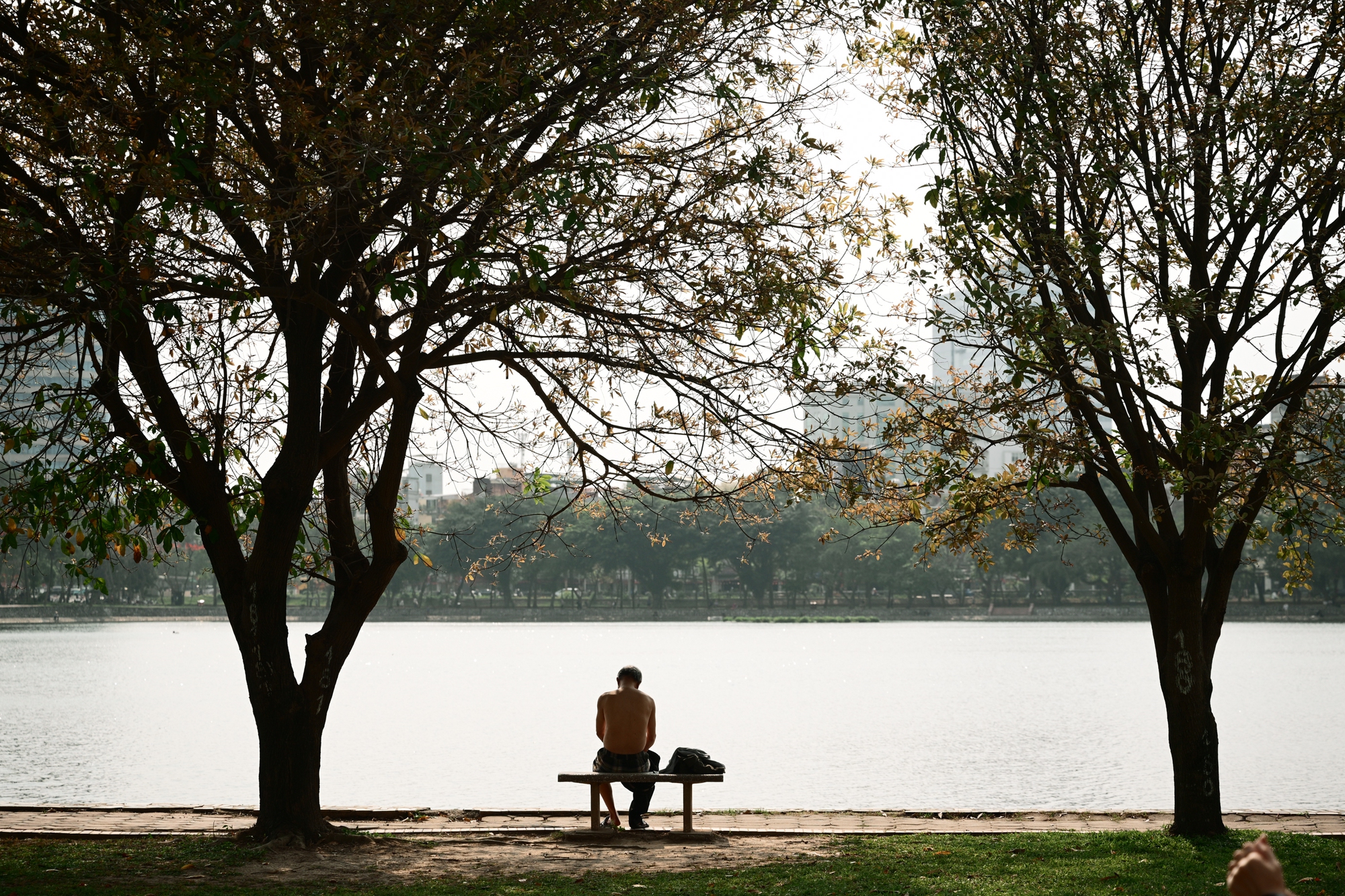 Người Hà Nội đang đổ xô ra công viên Thống Nhất săn lùng một khung cảnh vô thực- Ảnh 1.