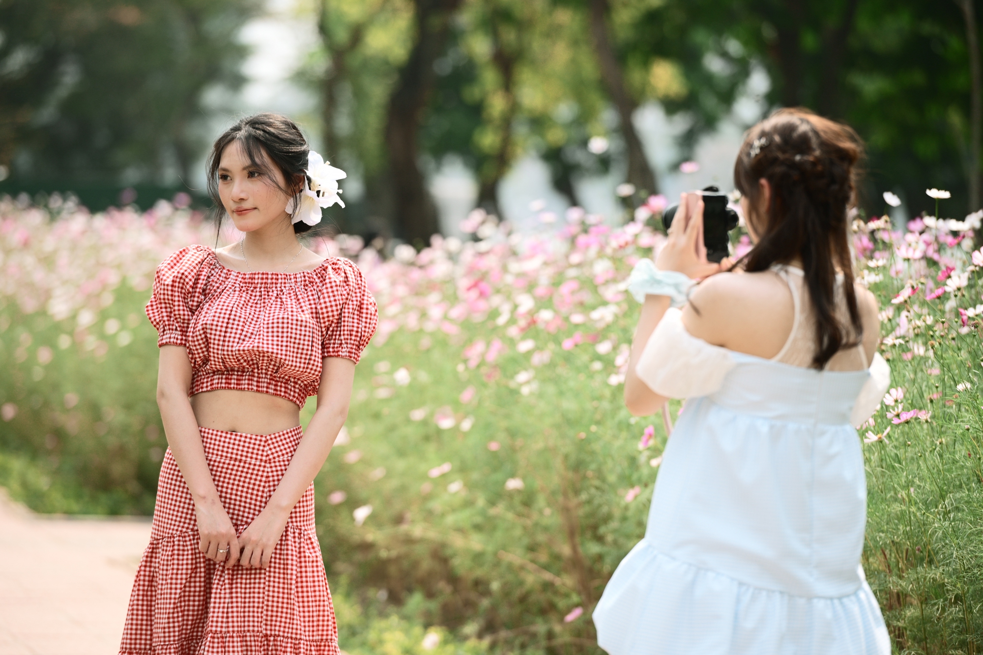 Người Hà Nội đang đổ xô ra công viên Thống Nhất săn lùng một khung cảnh vô thực- Ảnh 15.