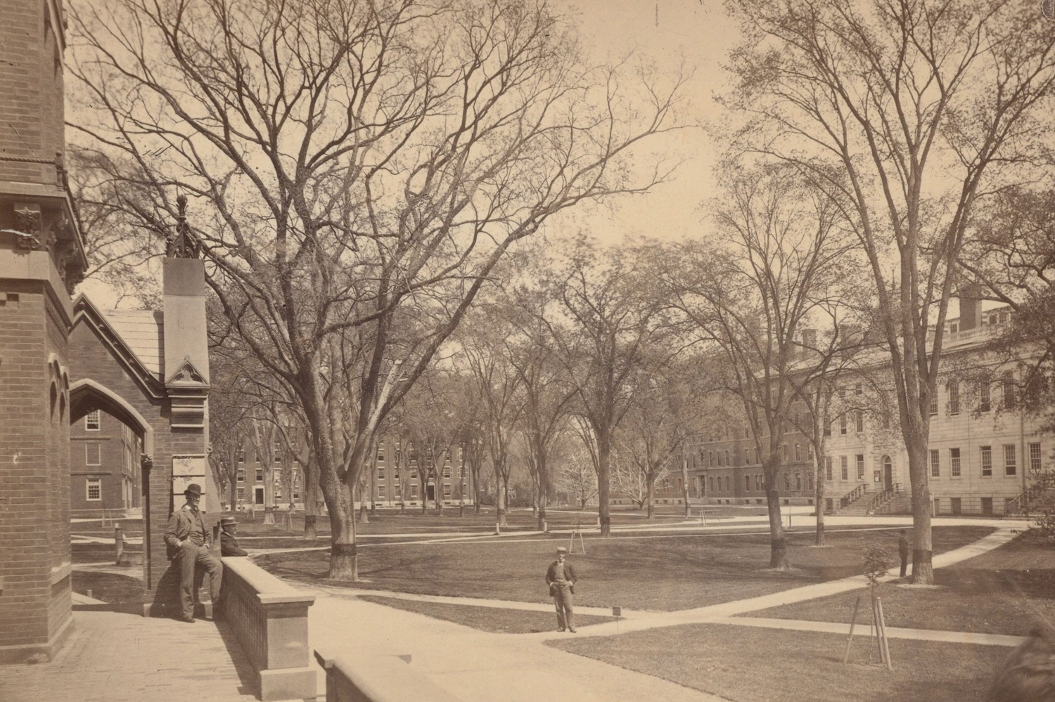 Vì sao Đại học Harvard lại có tên là Harvard?- Ảnh 2.