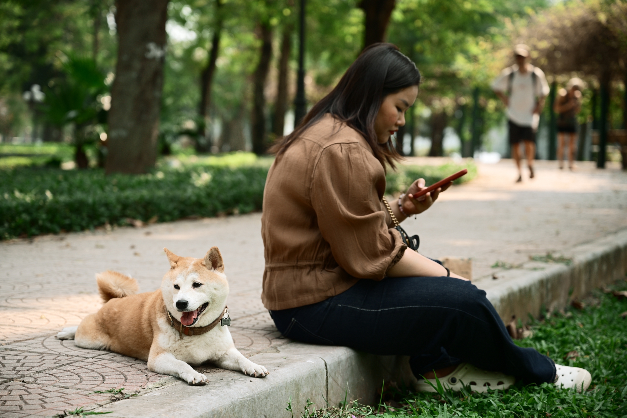 Người Hà Nội đang đổ xô ra công viên Thống Nhất săn lùng một khung cảnh vô thực- Ảnh 9.