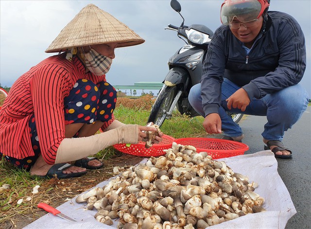 Đặc sản từ thứ bị vứt đi, được cố Thủ tướng nhắc tới: Nay giá gần 100.000đ/kg, giúp nhiều nhà đổi đời- Ảnh 3.