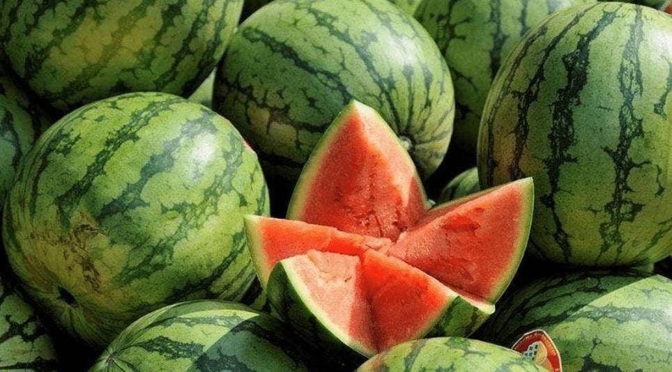 Vỗ rát cả tay không mua nổi quả dưa hấu “ra hồn”: Nhân viên siêu thị tiết lộ đúng 1 chi tiết mấu chốt- Ảnh 2.