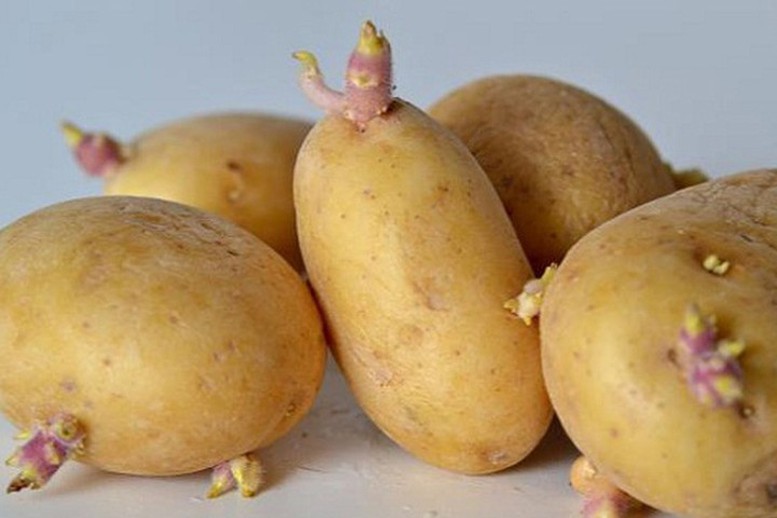 6 món ăn sinh hóa chất tàn phá cơ thể, dù rửa sạch hay đun sôi 100 độ C cũng vô tác dụng - Ảnh 2.