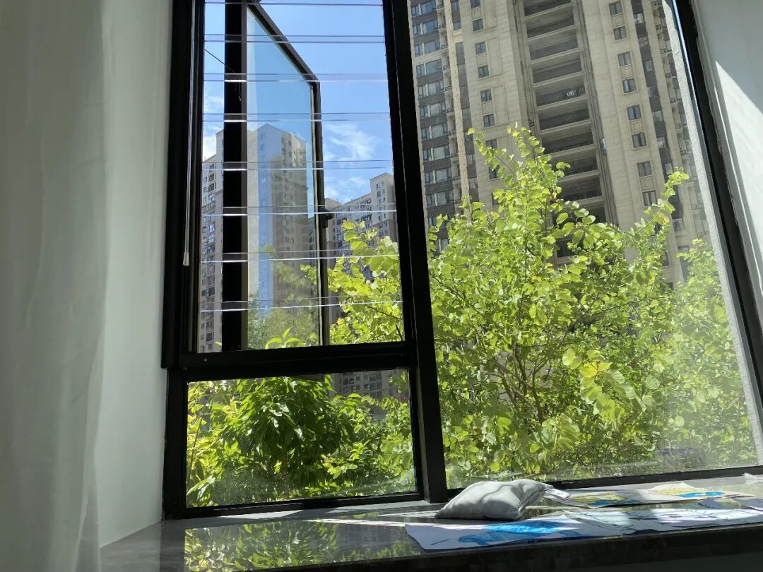 Vì sao ngày càng nhiều người chọn sống ở tầng hai? Sau khi ở thử, nhiều người thừa nhận: “Quyết định đáng giá nhất” - Ảnh 4.