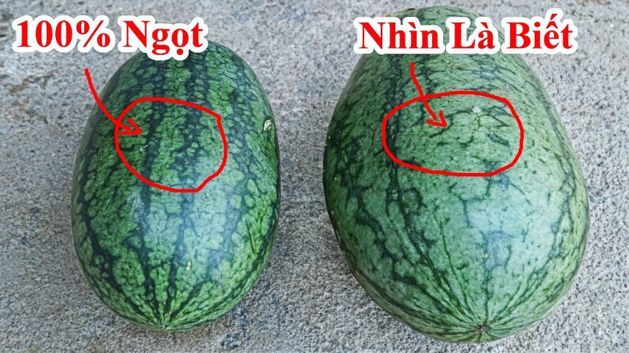 Vỗ rát cả tay không mua nổi quả dưa hấu “ra hồn”: Nhân viên siêu thị tiết lộ đúng 1 chi tiết mấu chốt- Ảnh 3.