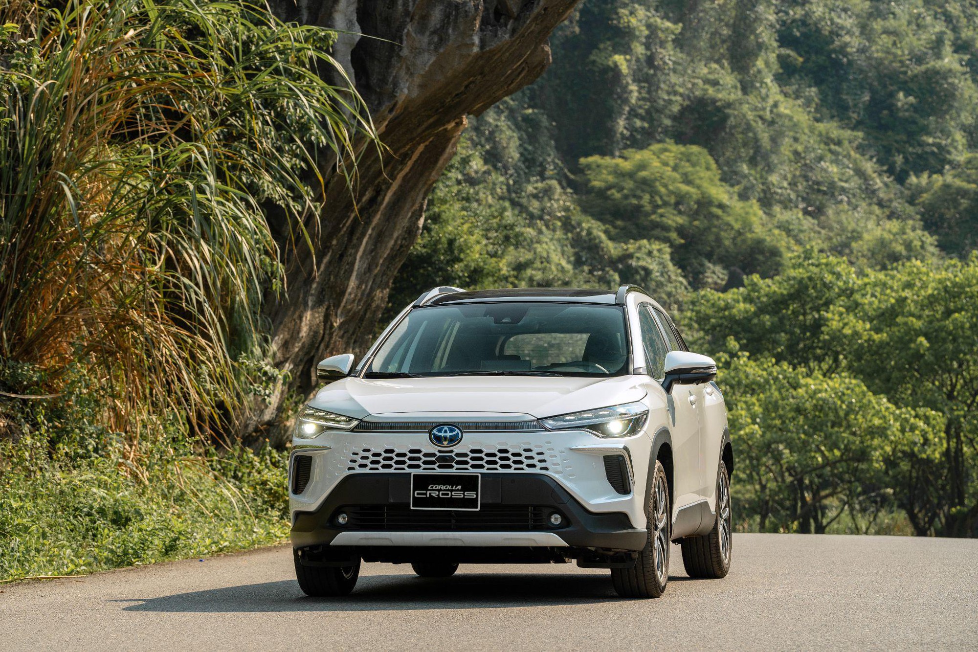 Bài toán kinh tế có lợi cho khách hàng mua xe Toyota trong tháng 3, tiết kiệm gần 70 triệu đồng - Ảnh 3. Bài toán kinh tế có lợi cho khách hàng mua xe Toyota trong tháng 3, tiết kiệm gần 70 triệu đồng - Ảnh 3.