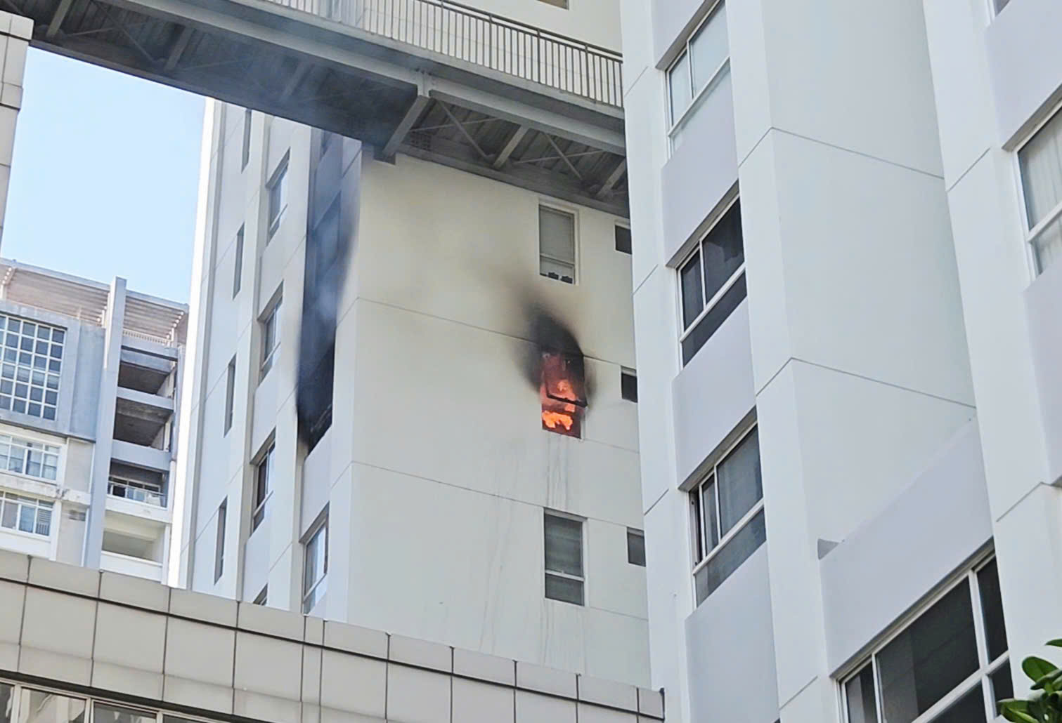 Nguyên nhân ban đầu vụ cháy căn hộ chung cư 25 tầng ở TPHCM - Ảnh 2.