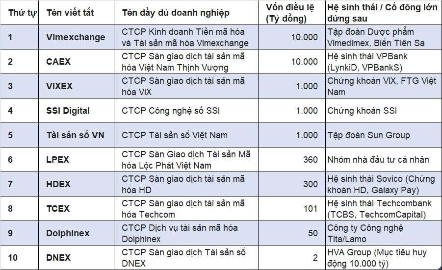 Cuộc đua thành lập sàn tài sản mã hóa: Mới 2 đại gia chạm mốc 10.000 tỷ, dàn đối thủ nghìn tỷ ráo riết bám đuổi- Ảnh 1.