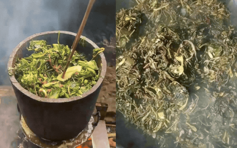 Đặc sản rẻ bèo ở Hòa Bình cũ toàn "lá nọ lá kia" mà người nào đi xa nhìn thấy cũng đều trào nước mắt nhớ quê- Ảnh 1.