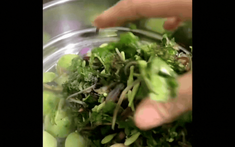 Đặc sản rẻ bèo ở Hòa Bình cũ toàn "lá nọ lá kia" mà người nào đi xa nhìn thấy cũng đều trào nước mắt nhớ quê- Ảnh 4.