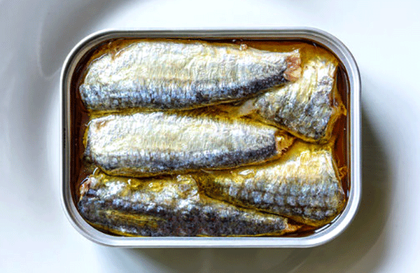 Ra siêu thị thấy đủ loại cá: Nhân viên chỉ 3 loại "vô địch DHA", tốt cho não, giá vừa túi tiền  - Ảnh 5.