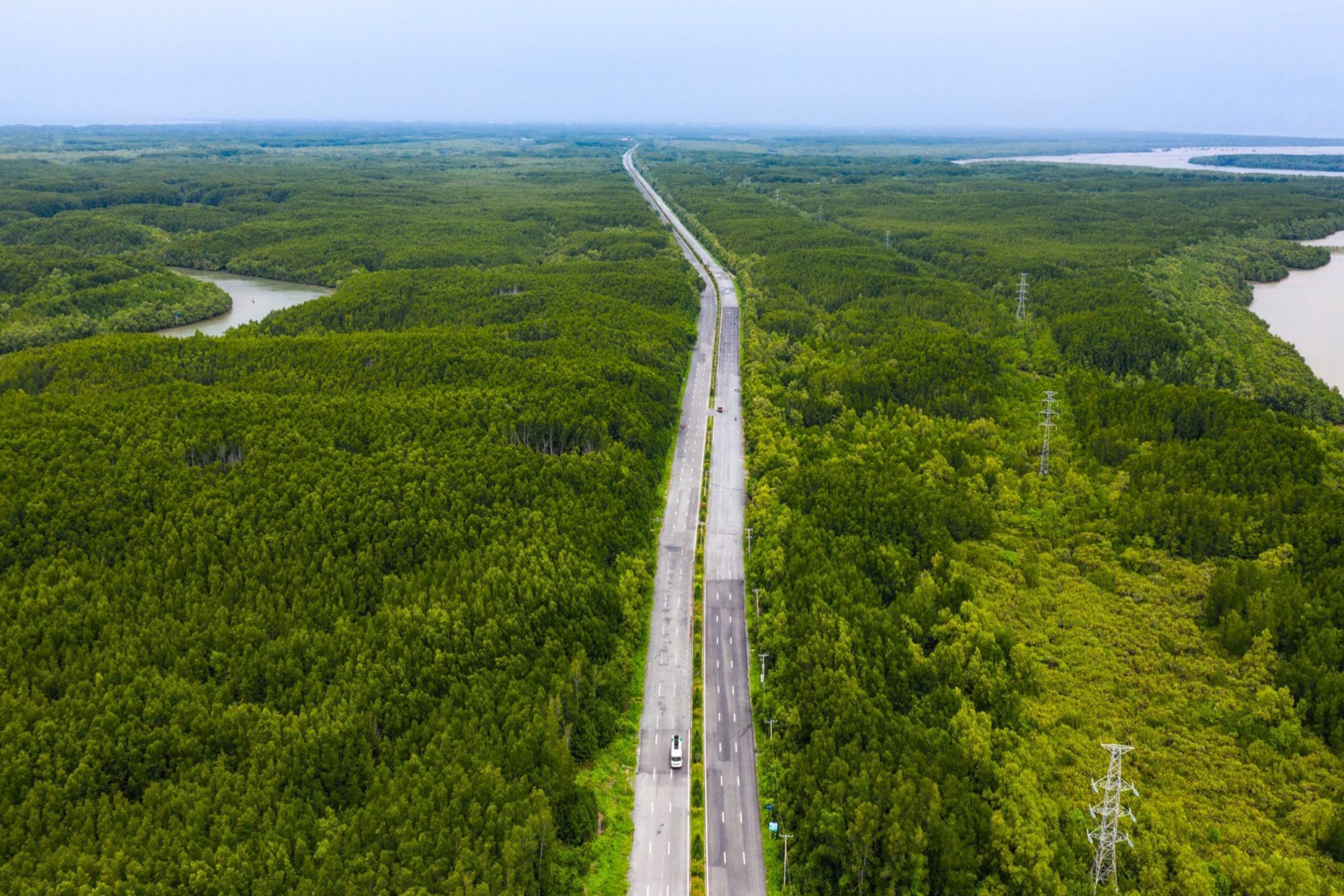 UBND TPHCM ban hành kế hoạch giải phóng mặt bằng tuyến đường sắt Bến Thành - Cần Giờ - Ảnh 1.