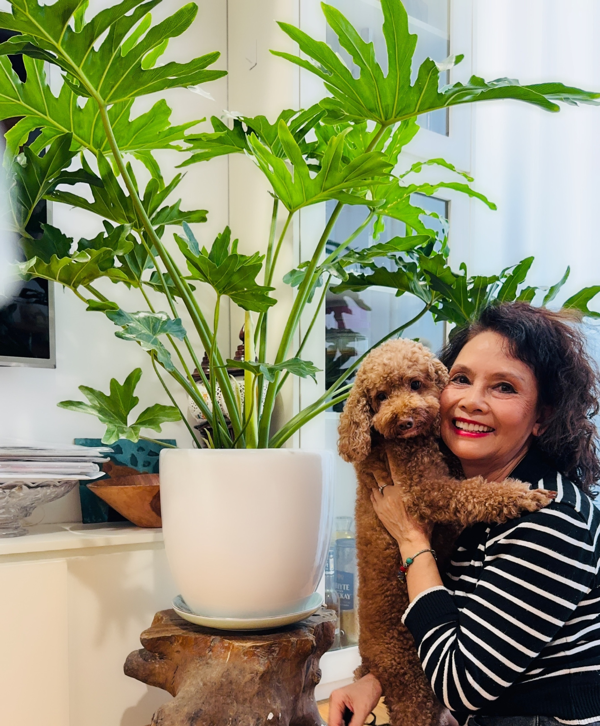 Nữ NSND nổi tiếng sống một mình trong căn hộ 70m2 tại Hà Nội, tuổi 70 được con gái âm thầm tìm bạn trai, mời sang Mỹ - Ảnh 9.