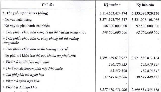 Tandoland lỗ ròng hơn 29 tỷ đồng trong năm 2025, nợ phải trả vượt 6.100 tỷ đồng - Ảnh 1.
