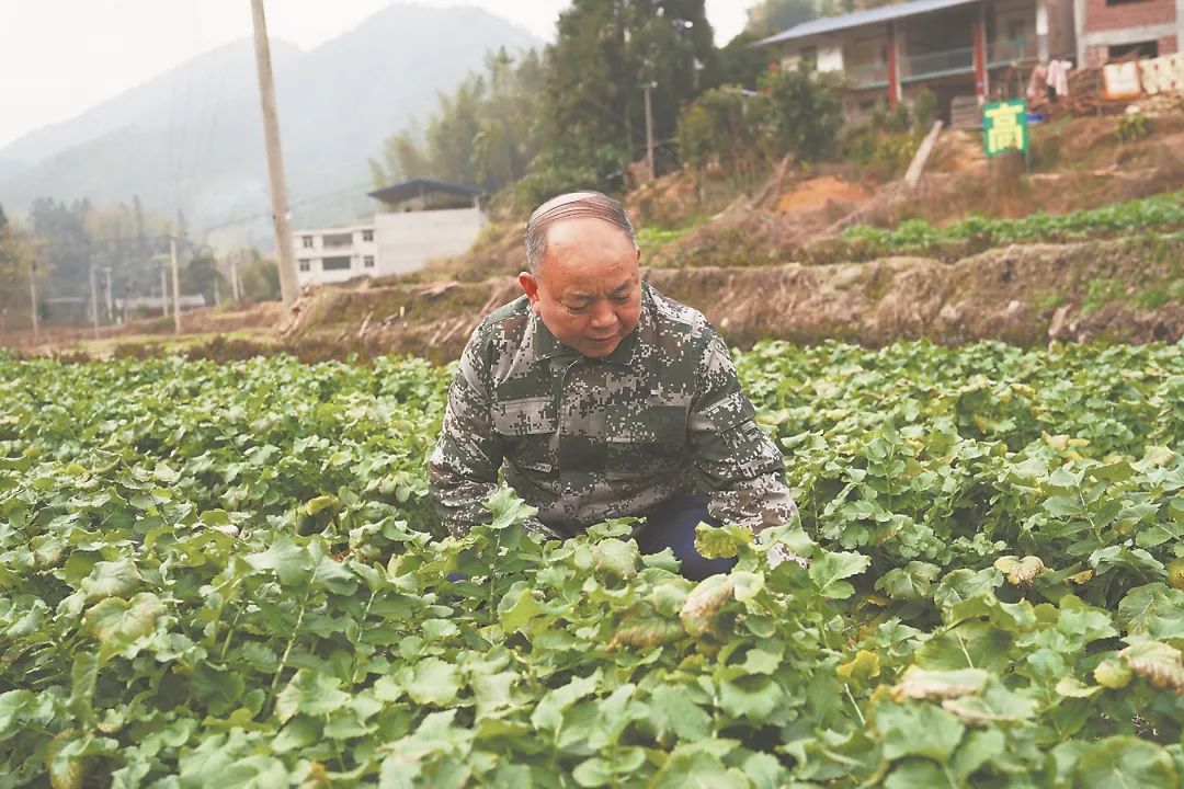 Tôi chi gần 900 triệu đồng xây nhà về quê dưỡng già - nhưng chưa đầy 1 năm đã quay lại thành phố: Bài học tài chính đắt giá sau tuổi 60 - Ảnh 2.