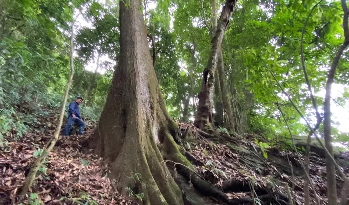 Việt Nam công bố tiêu chuẩn mới cho du lịch mạo hiểm- Ảnh 3.