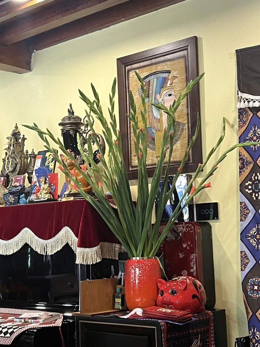 Cơ ngơi của NSND Xuân Bắc: 4 mặt đều là gỗ tự nhiên, rộng ngàn mét vuông chưa đi đã thấy "lạc lối"- Ảnh 13.