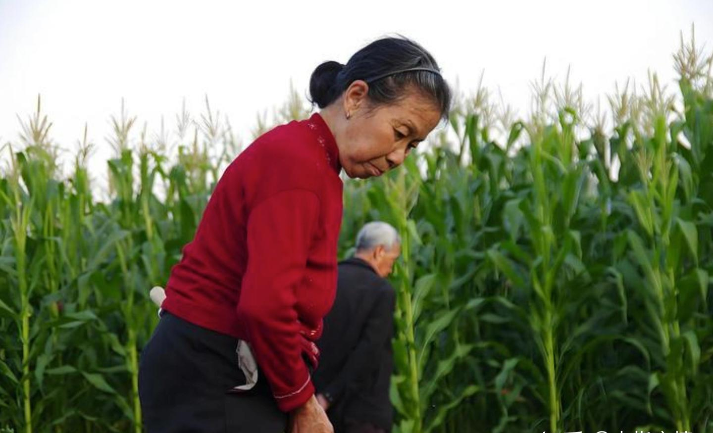 1,7 triệu đồng/tháng ở quê vẫn sống thoải mái, 10 triệu ở thành phố vẫn hết sạch: Câu chuyện 2 người mẹ khiến tôi hiểu lại bài toán tiền hưu trí- Ảnh 2.