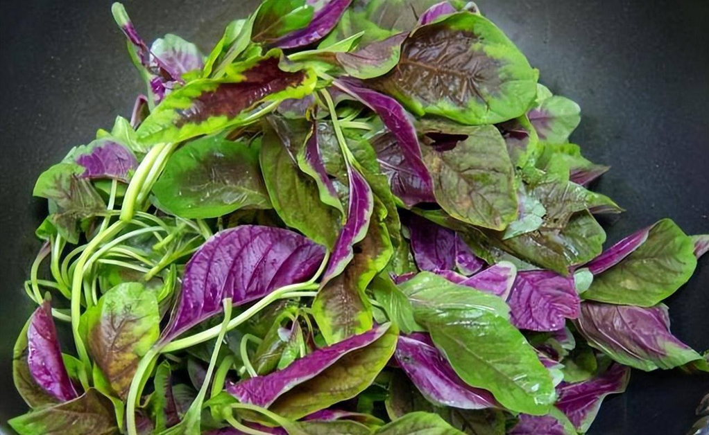 5 loại rau rất ít bị phun thuốc trừ sâu, ăn cực ngon miệng, chợ Việt bán chỉ vài ngàn một mớ- Ảnh 1.