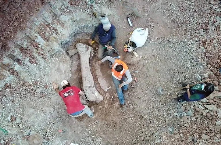 Quái vật dài 20 m "trỗi dậy" giữa công trình đường sắt. - Ảnh 1.