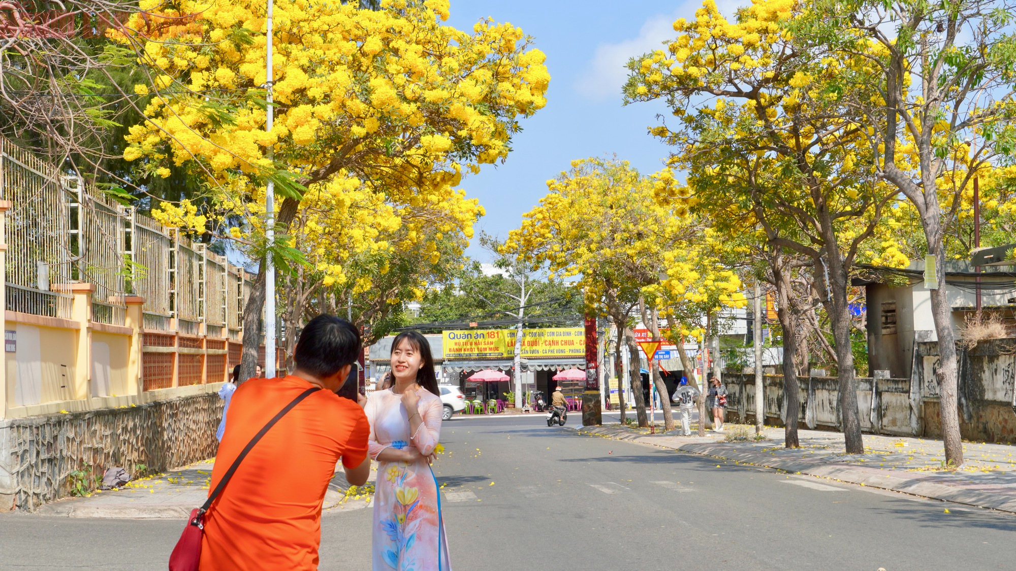 Vũng Tàu "nhuộm vàng" mùa hoa phong linh, du khách rộn ràng check-in - Ảnh 7.
