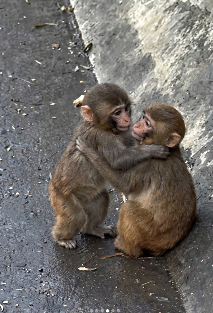 Đừng bao giờ tuyệt vọng: 