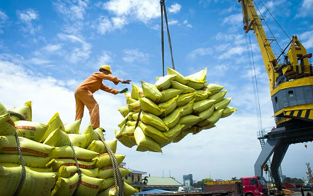 Xuất khẩu gạo: Chủ động thích ứng, giảm rủi ro thị trường - Ảnh 1.