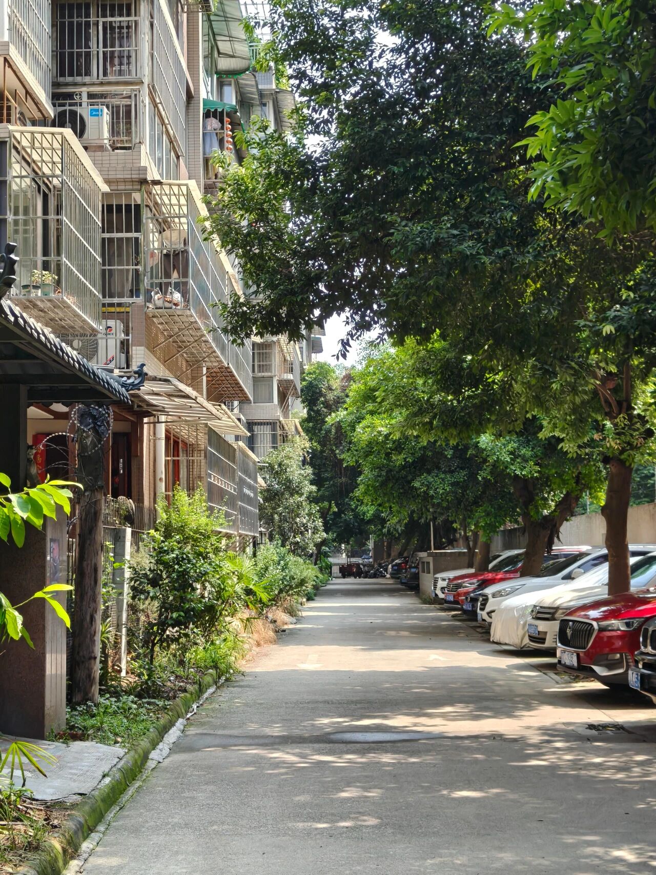 Tôi rời căn hộ có thang máy để về sống ở khu phố cũ: Sau 1 năm, tôi chỉ tiếc đã chuyển đi quá muộn - Ảnh 4.