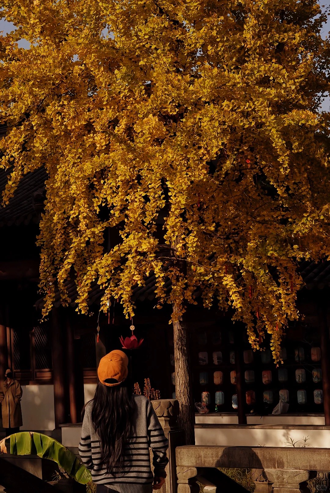 Quỹ hưu trí 19 tỷ và hành trình "tiêu dùng tối giản" của bà mẹ đơn thân: Hóa ra hạnh phúc lớn nhất lại nằm ở đây!- Ảnh 5.