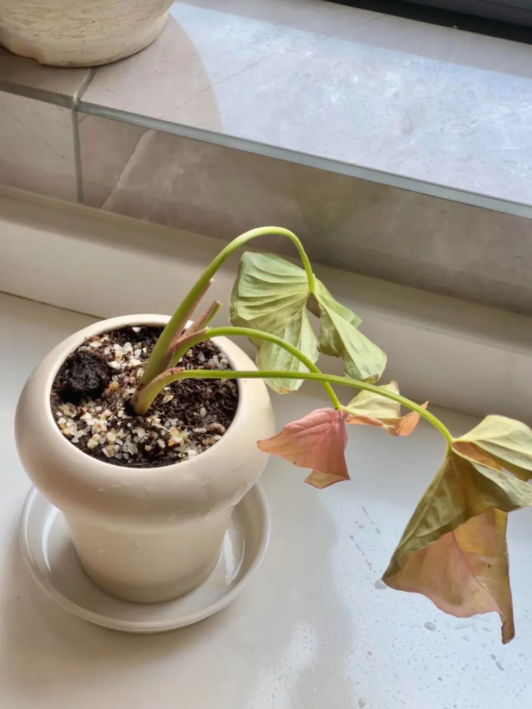 Chuyển về nhà mới 2 tháng, tôi mới hiểu: Có một kiểu mệt mỏi gọi là “nấu ăn tùy tiện trong bếp” và 6 thiết kế đẹp nhưng bất tiện này là nguyên nhân- Ảnh 9.