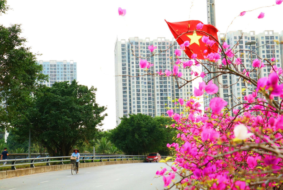 Những 'ốc đảo hoa' níu chân nhiều người- Ảnh 6.