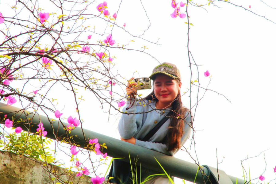 Những 'ốc đảo hoa' níu chân nhiều người- Ảnh 3.