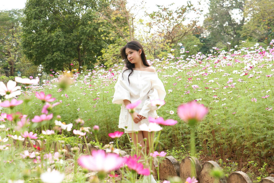 Những 'ốc đảo hoa' níu chân nhiều người- Ảnh 12.