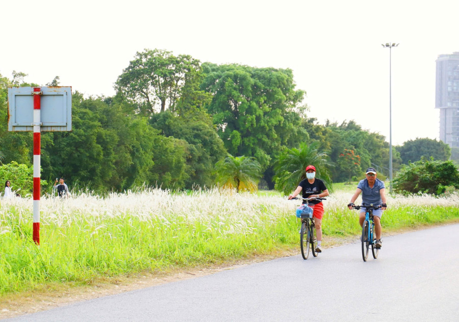 Những 'ốc đảo hoa' níu chân nhiều người- Ảnh 7.