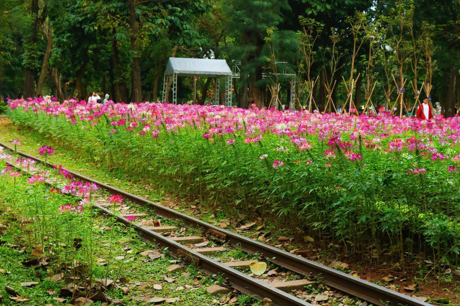 Những 'ốc đảo hoa' níu chân nhiều người- Ảnh 14.