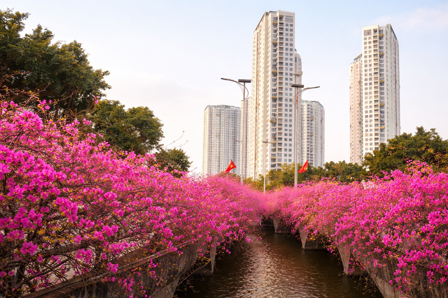 Những 'ốc đảo hoa' níu chân nhiều người- Ảnh 1.